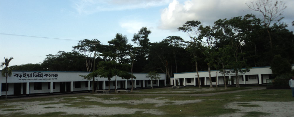 p4.jpg