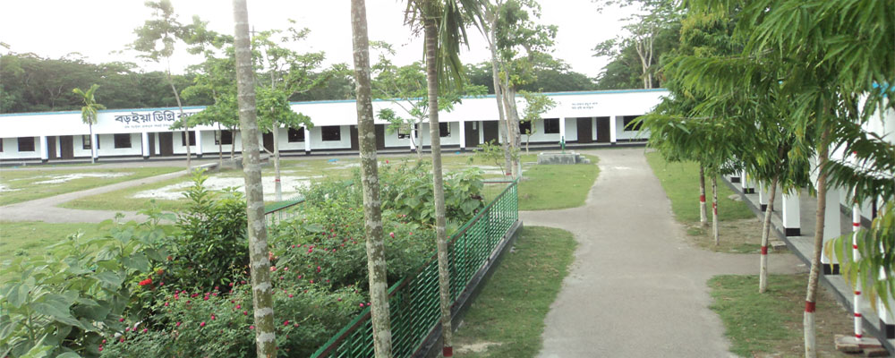 p7.jpg